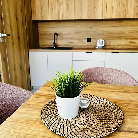 Roxy ゲストハウス Jastrzębia Góra